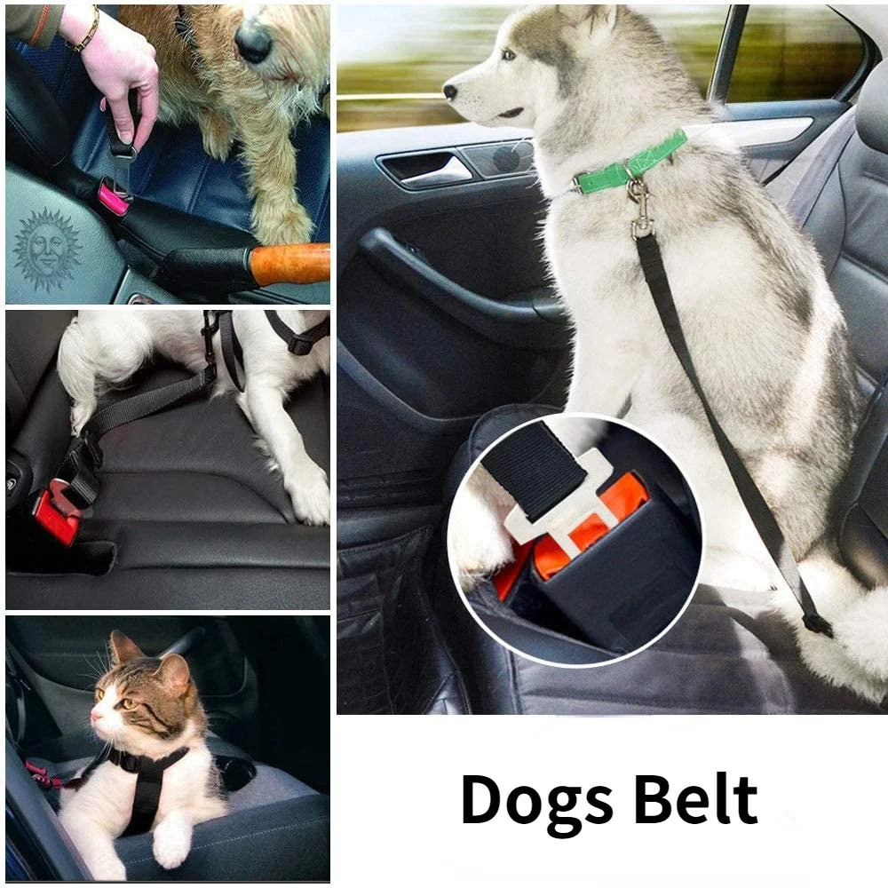 Cinto de segurança ajustável para carro, gato, cachorro, assento para animais de estimação, veículo, clipe de chumbo, alavanca de segurança, tração, coleiras para cães, acessórios para cães