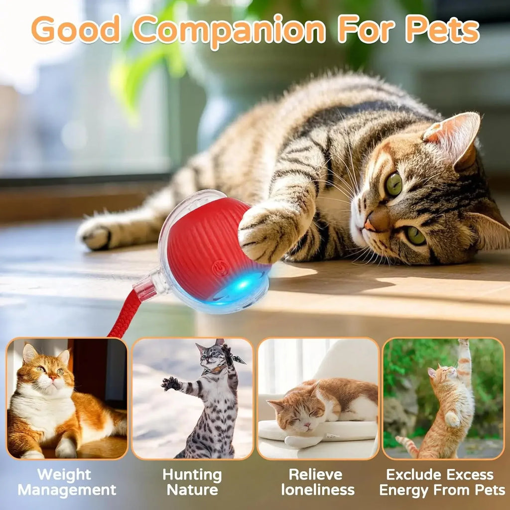 Cão gato bola interativa brinquedo bola de rolamento automático falso cauda recarregável inteligente animal de estimação brinquedo elétrico cão gato treinamento imitar mouse