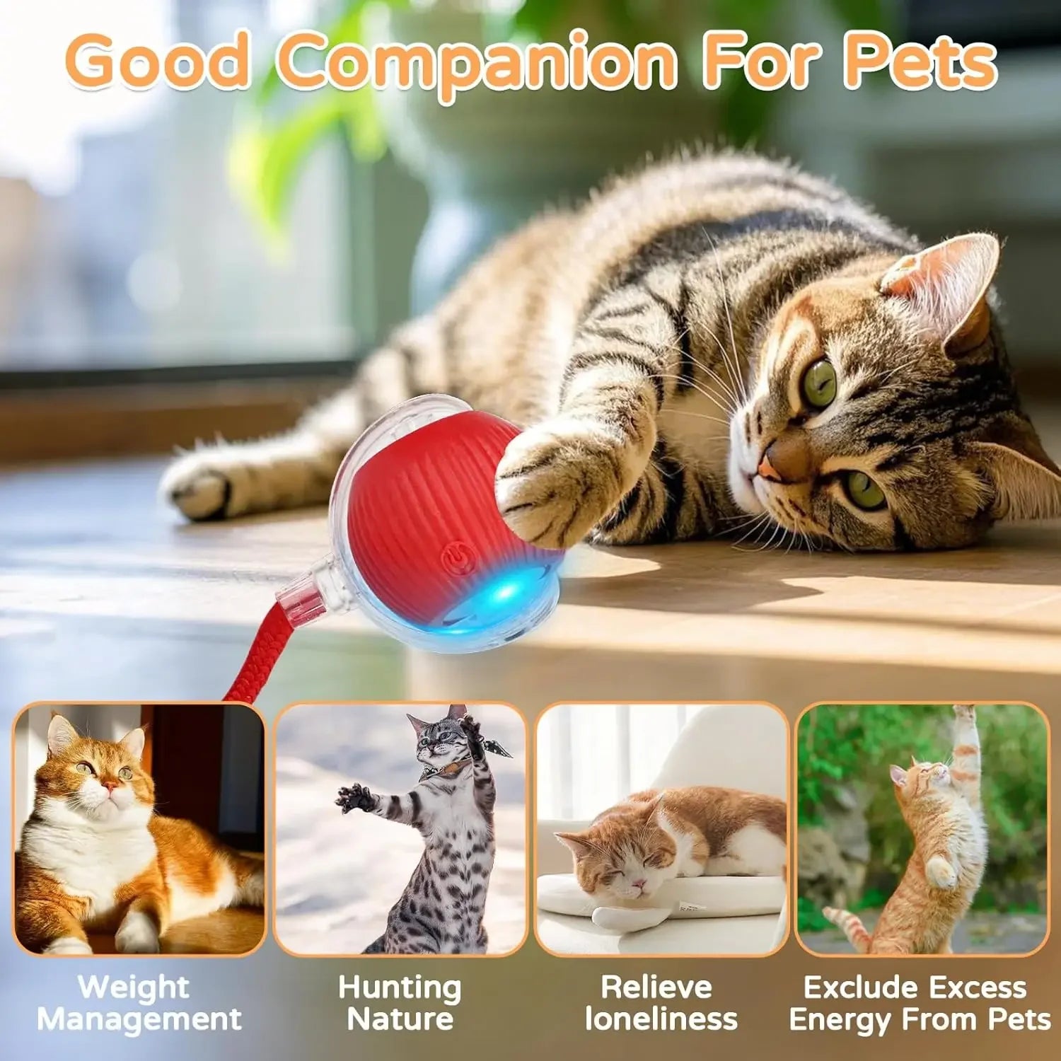 Cão gato bola interativa brinquedo bola de rolamento automático falso cauda recarregável inteligente animal de estimação brinquedo elétrico cão gato treinamento imitar mouse